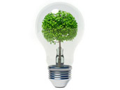 Energías renovables